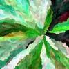 hash_0xeefe6954edbeaeee66b7b8ebcd4613c4d96695986e460d96c96518c3dbf83c8b_id_1000042_time_26s_OKLAB_Greens_0.11.0
