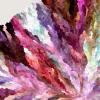 hash_0x4a0c24e901b97614ae2ecb4e17a82eb52423a386c5b5755c9b8650c2f97ea145_id_1000467_time_24s_OKLAB_Roses_0.11.0