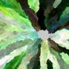 hash_0x95d0e42d0dce3e7deea057ac65ae644058956c3ded2b9e7b9a28e02291d9fb12_id_1000544_time_33s_OKLAB_Yellow_Greens_0.11.0