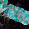 hash_0x9f56cc99e2ec70b94ca14cc3112dfbef174a8f8c57247d48b75139663d6b804c_id_1000661_time_33s_OKLAB-CHL_Dark_Wizard_0.11.0