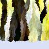 hash_0xb3ec8a88b3fee26507af4ccab5e2263f1eff1dbb502a87b2671b3ca53e5972b7_id_1000152_time_22s_OKLAB_13_Yellows_0.11.0