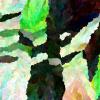hash_0xed936d5f0ae315e1fe7460b843c9f7165a5b96922670c1e673f9258a565e8449_id_1000027_time_29s_OKLAB_Yellow_Greens_0.11.0