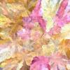 hash_0xb5b8a9ba8c5d6b5732a9e8ab012c1df05dbd6eeebd68e424e8ca1d03ad8b20c0_id_1000050_time_31s_OKLAB_Magenta_Rose_Zinnia_Deadhead_0.11.0