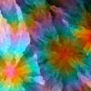 hash_0xdf5c22251d5d1d0bded0197212b795b92052eb05e6d122c05851396c88363e6e_id_1001208_time_26s_OKLAB-CHL_Magenta_Rose_Zinnia_0.11.0