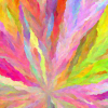 2020_05_13__14_24_38__332f68_colorGrowth-Py