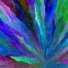 2020_05_13__19_52_02__461665_colorGrowth-Py