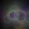 sheep_245_11364_4