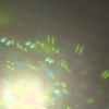 sheep_247_10420_208