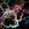 sheep_247_12546_1223