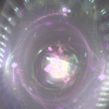 sheep_247_12762_189