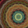 sheep_247_32662_727