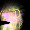 sheep_247_7782_427