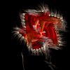 electricsheep.242.02044