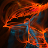 electricsheep.242.02274