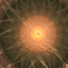 electricsheep.242.03484