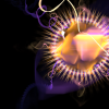 electricsheep.243.07125