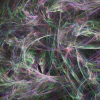 20170107_130821_544056900_and_20170107_131404_324272500_alternate.flame