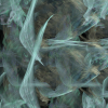 20170107_130821_544056900_and_20170107_132055_496181800_interpolate.flame