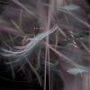 20170107_130953_301332400_and_20170107_132037_152494500_alternate.flame