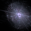2016_11_14__21_22_46__962407600_and_2016_11_14__21_52_51__821892900_interpolate.flame
